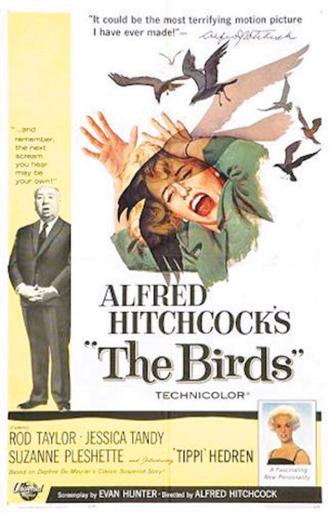 hitchcock's the birds